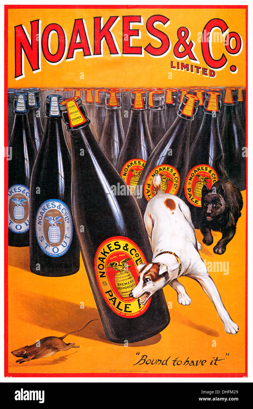 Noakes & Co Brauerei, 1904 Edwardian Plakat für den London-Brauer mit Sitz in Bermondsey, wo diese Terrier beschäftigt gewesen wäre Stockfoto