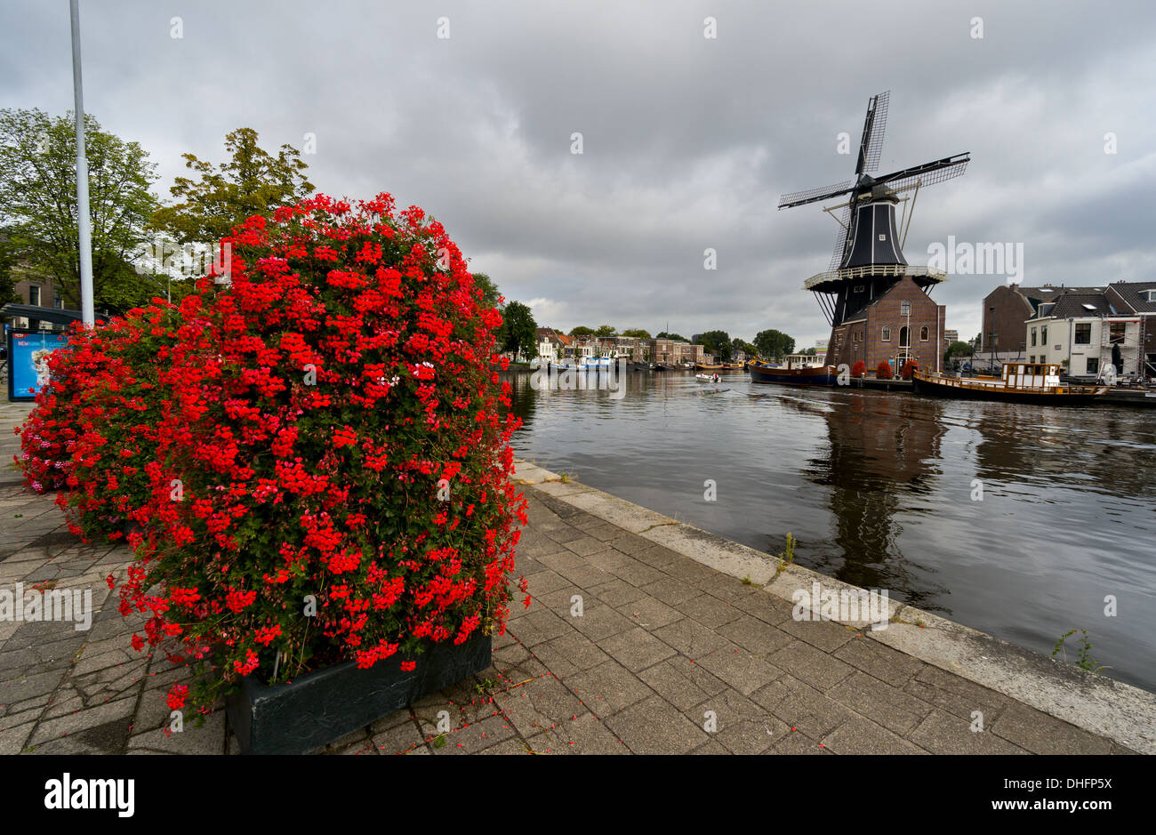 Windmühle in Haarlem, Niederlande Stockfoto