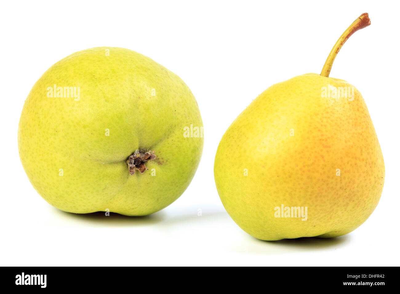 Obst und Gemüse auf einem weißen Hintergrund. Studio-Fotografie. Denisovo, Oblast Rjasan, Pronsky-Bereich. Russland Stockfoto