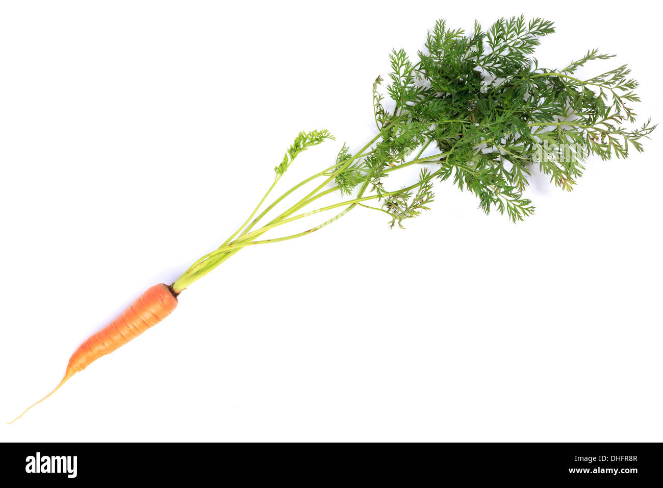 Obst und Gemüse auf einem weißen Hintergrund. Studio-Fotografie. Denisovo, Oblast Rjasan, Pronsky-Bereich. Russland Stockfoto