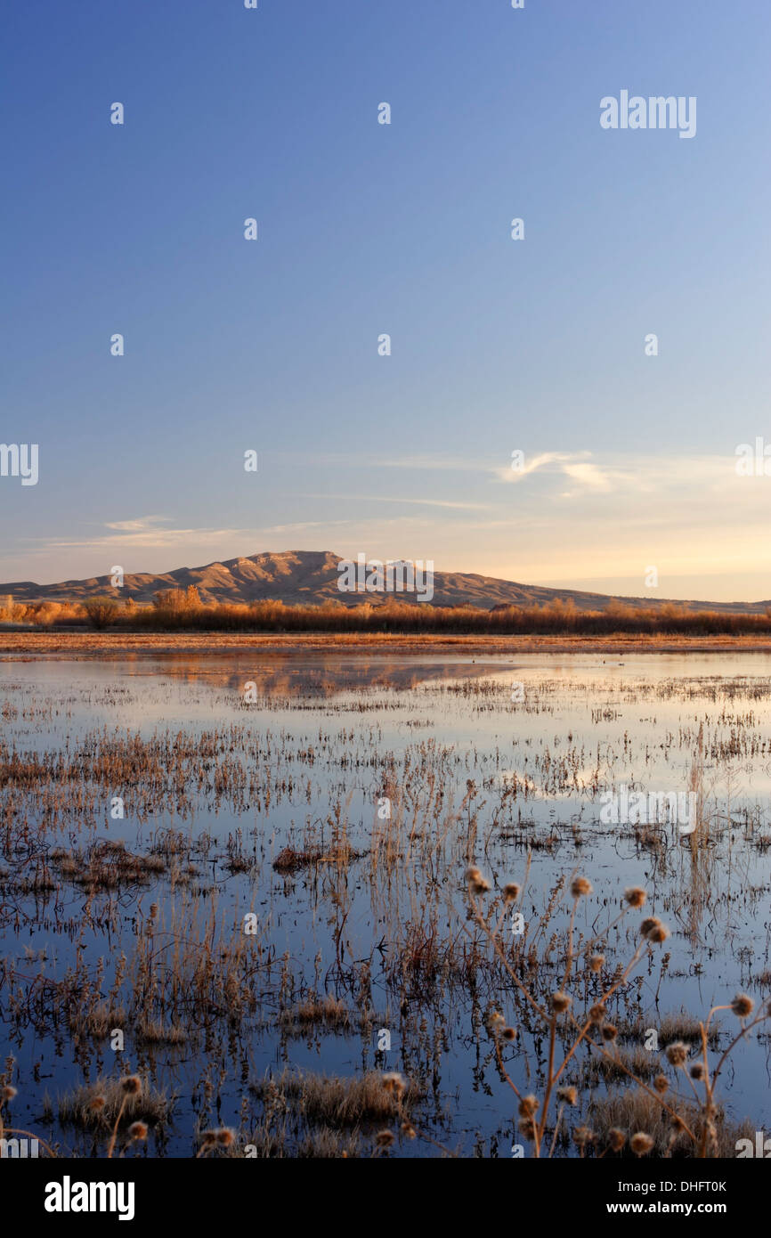 Berg am Teich, Bosque del Apache National Wildlife Refuge, New Mexico USA reflektiert Stockfoto