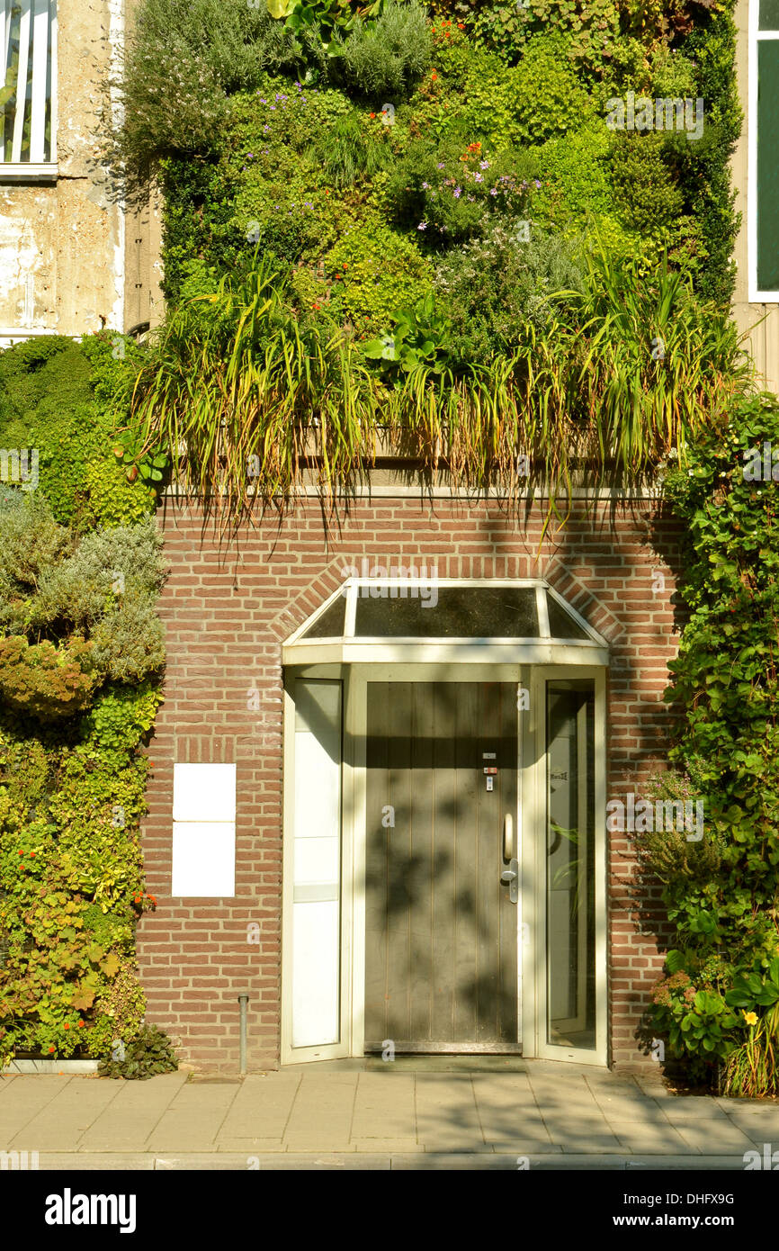 Die Stadt Grün zu halten. Eingang des Gebäudes mit Pflanzen wachsen an der Fassade des Gebäudes. Stockfoto