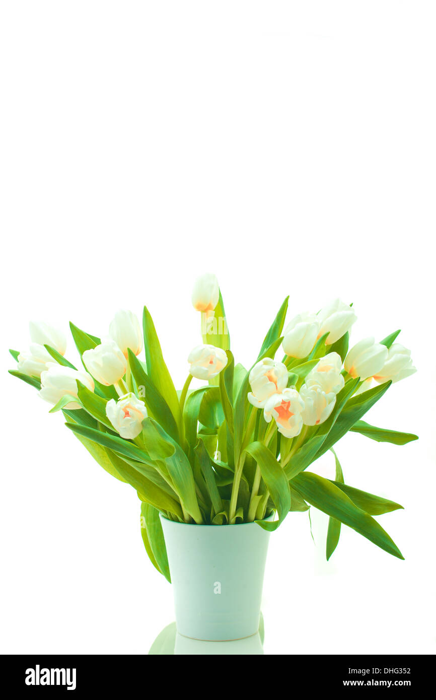 Schöne Tulpen im Topf Stockfoto