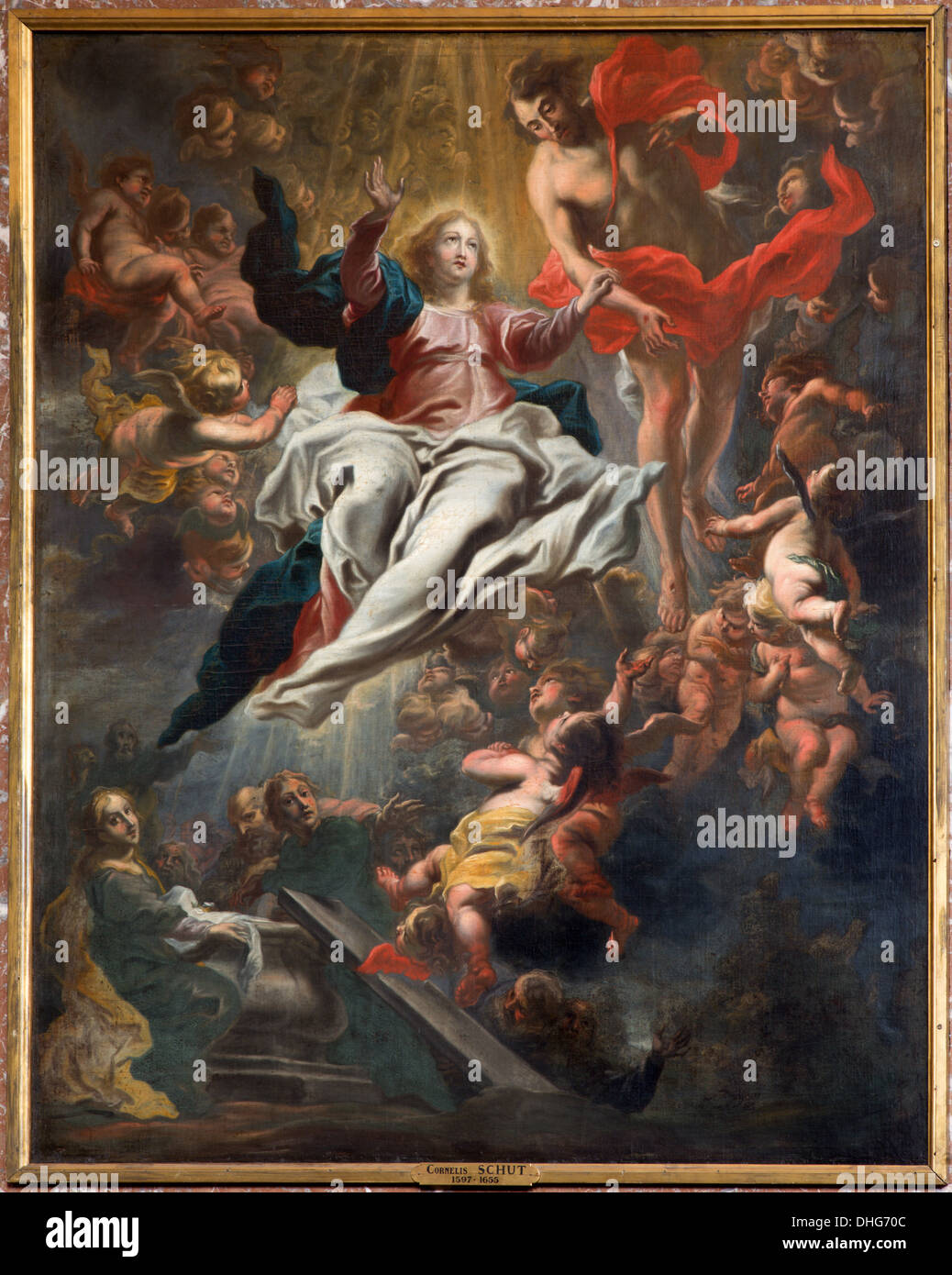 Antwerpen - Aufnahme Mariens in den Himmel von Cornelis Schut 1597-1605 in St. Karl Borromäus Kirche Stockfoto