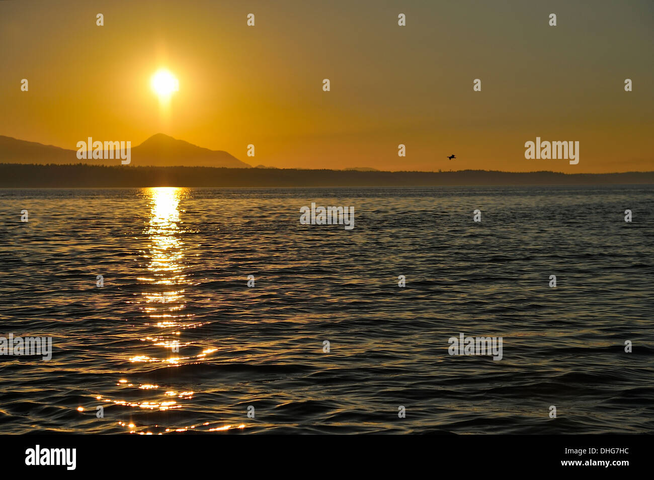 Die aufgehende Sonne über die fernen Berge gibt ein warmes Glühen in den Gewässern des Straight of Georgia. Stockfoto
