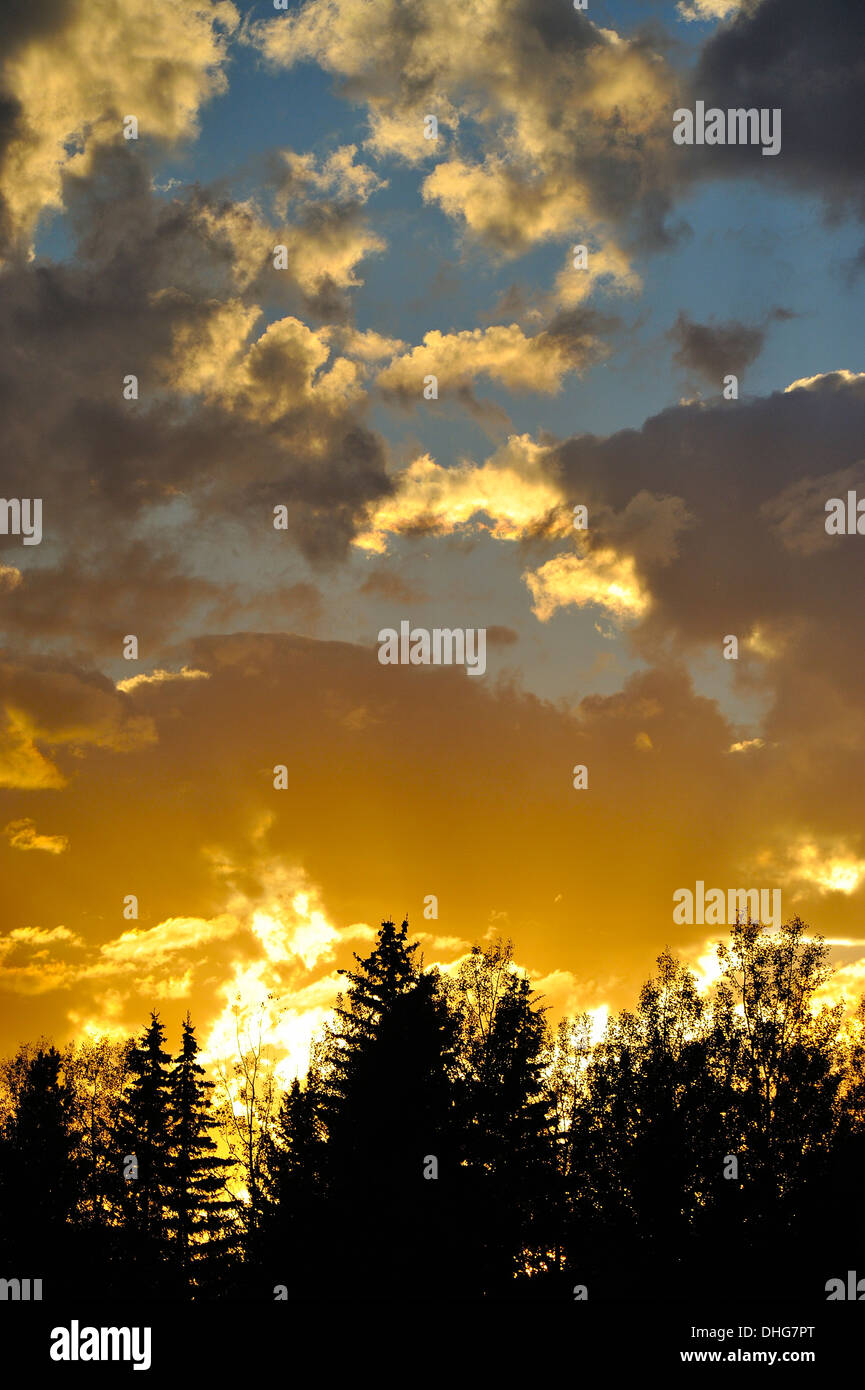 Eine vertikale Landschaftsbild der Wolken Hintergrundbeleuchtung von der untergehenden Sonne Stockfoto