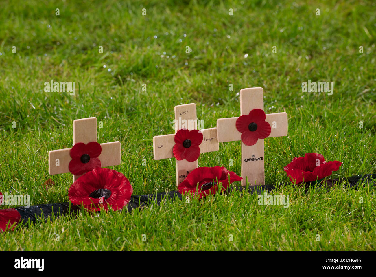 Garden of Remembrance, George Square, Glasgow. November 2013. Stockfoto