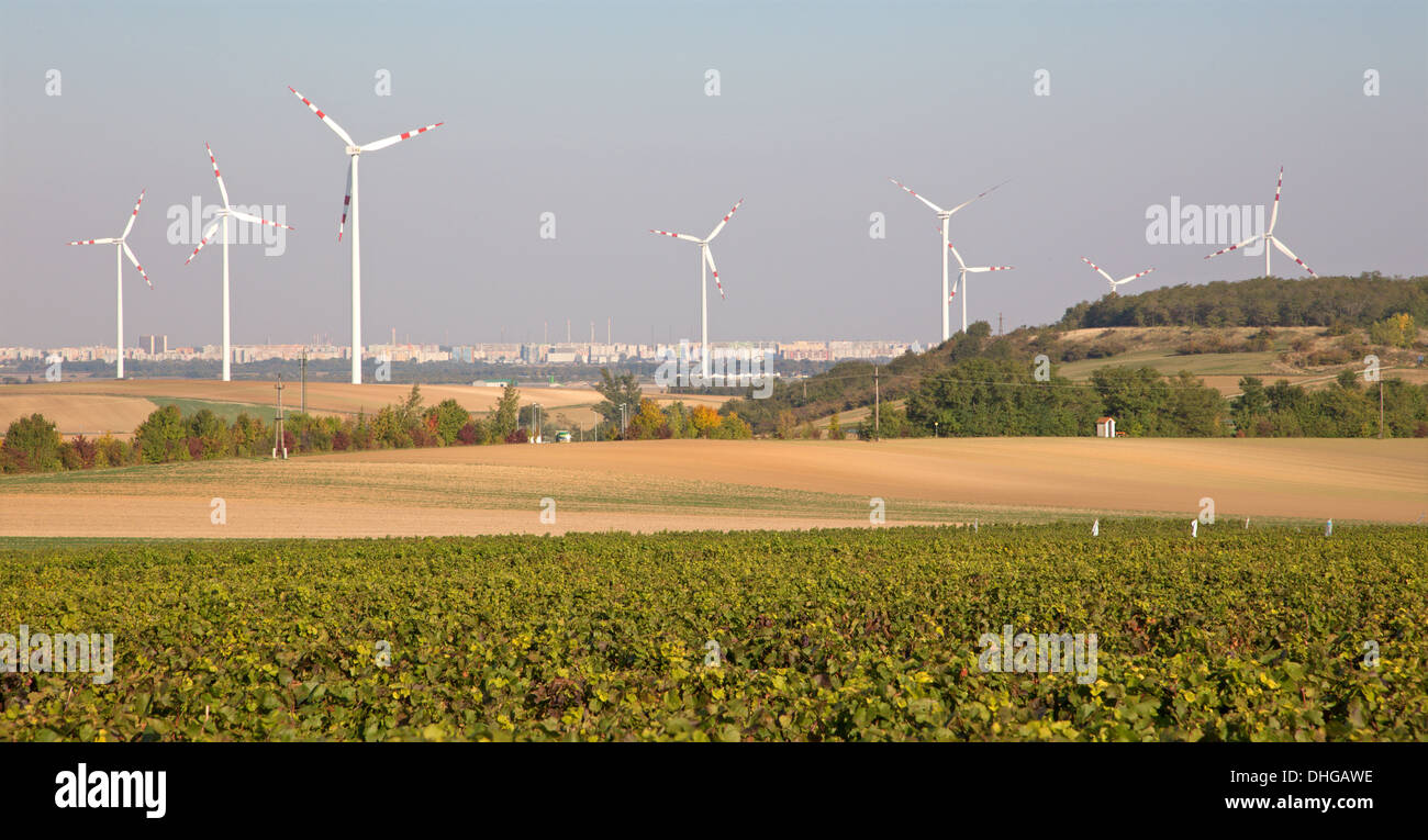 Windturbine und herbstliche Weinberge in Ost-Österreich Stockfoto