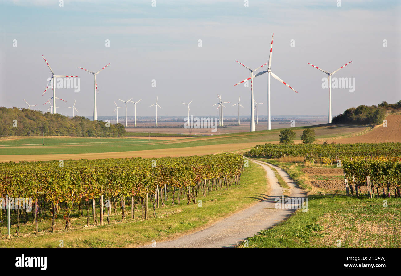 Windturbine und herbstliche Weinberge in Ost-Österreich Stockfoto