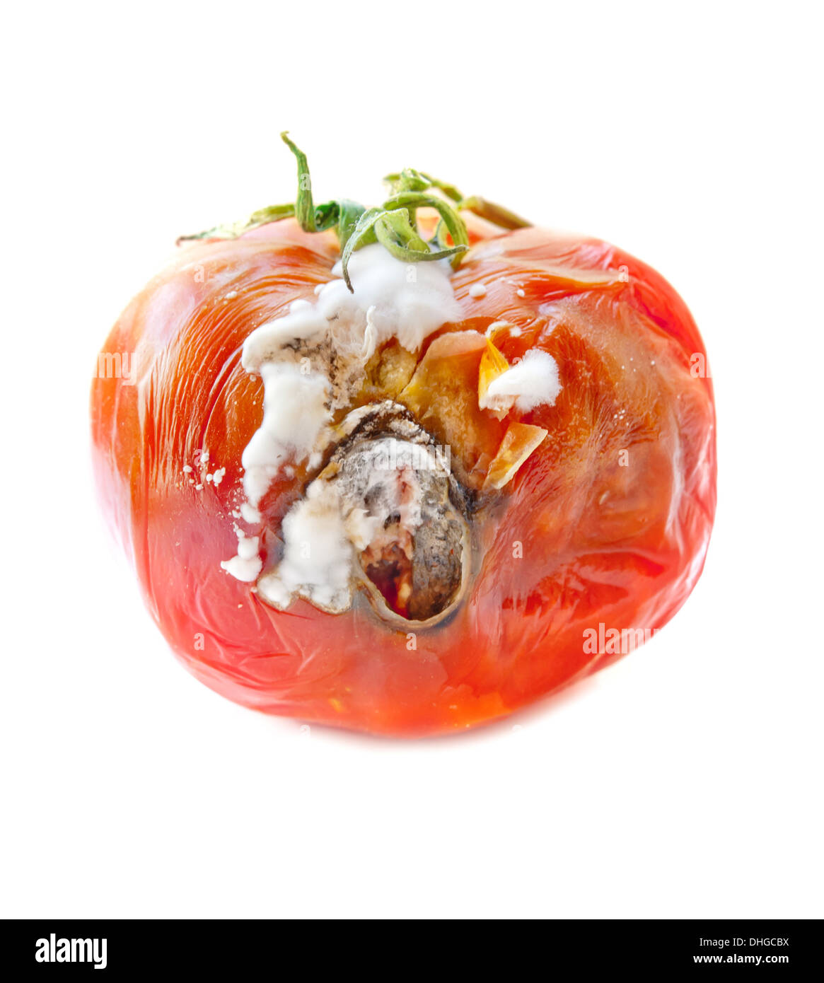 Faule Tomaten auf weißem Hintergrund Stockfoto