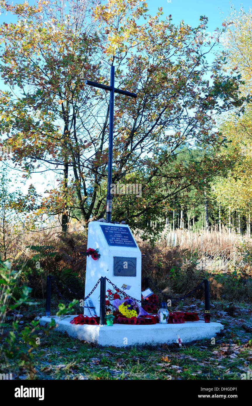 Calverton,Nottinghamshire,UK.10th November 2013.Polish cross-Denkmal, am 13. Oktober 1940 eine polnische Luft Crew (der Nummer 300 Mosovion Squadron), die kämpften für die Alliierten zu ihrer Basis an RAF Swinderby.After eine erfolgreiche Bombardierung zurückkehrten raid, ihre betroffenen "Fee battle'aeroplane fiel in Calverton Wäldern töten alle drei Besatzungen. Stockfoto