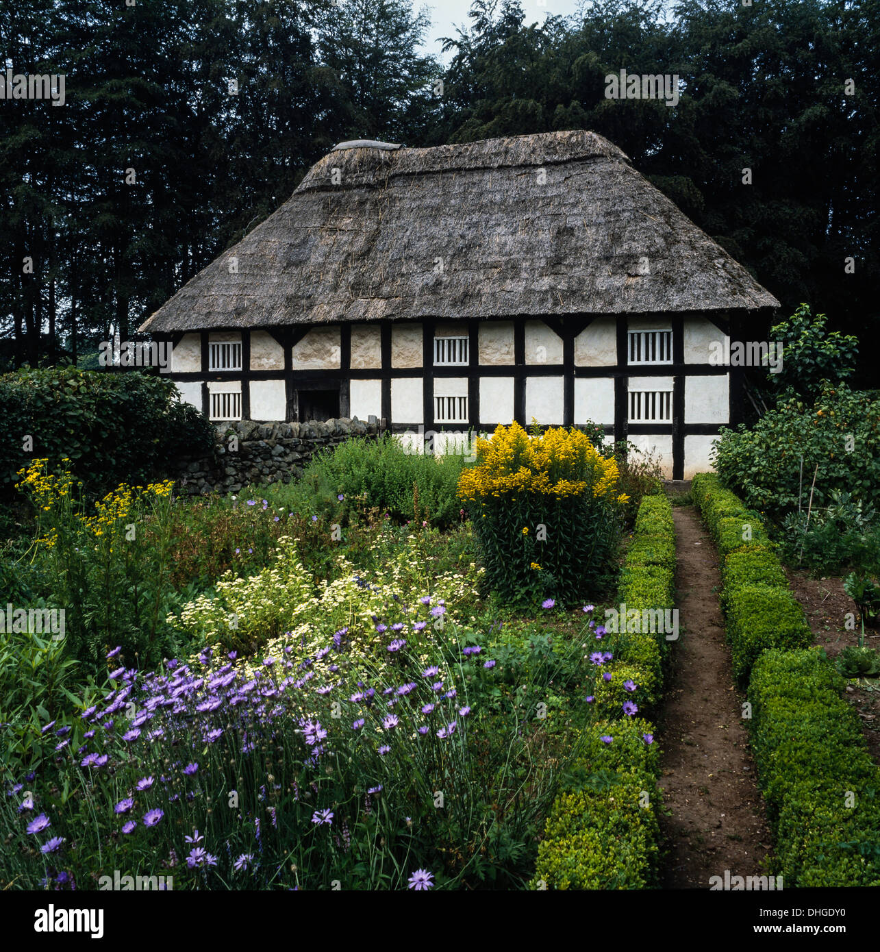 Abernodwydd Bauernhaus auf dem Gelände des St Ffagans Nationalmuseum für Geschichte, Cardiff, Wales, UK eingestellt Stockfoto