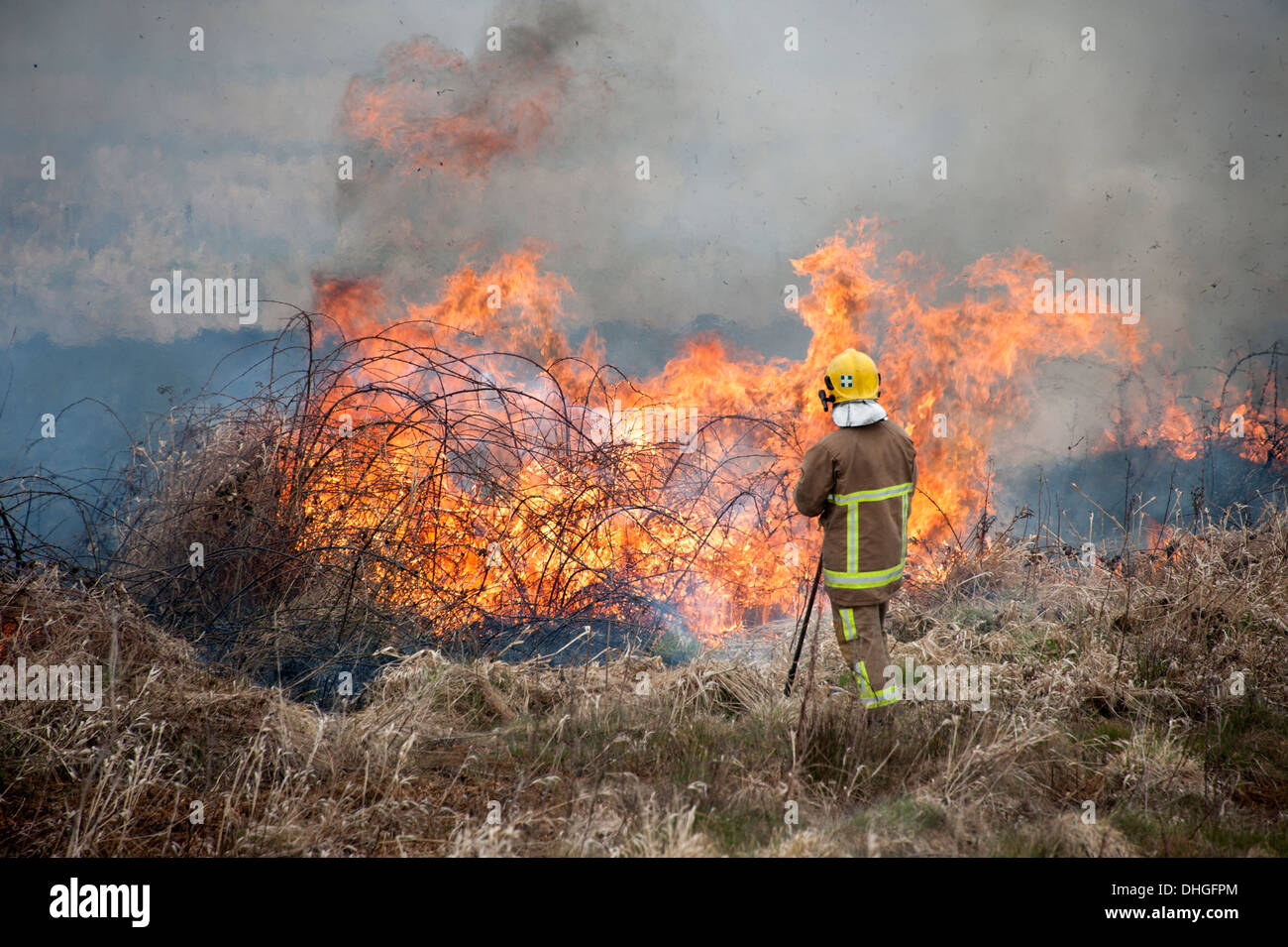 Feuerwehrmann mit Schlägern auf Grass Feuer Heide Stockfoto
