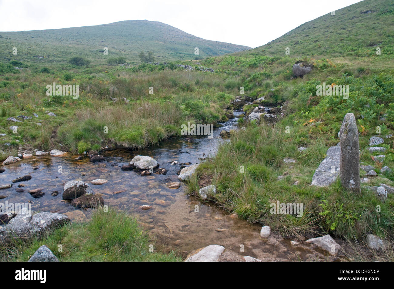 In der Nähe der Quelle des Flusses Taw auf Dartmoor Blick nach Süden in Richtung Steeperton Tor Stockfoto