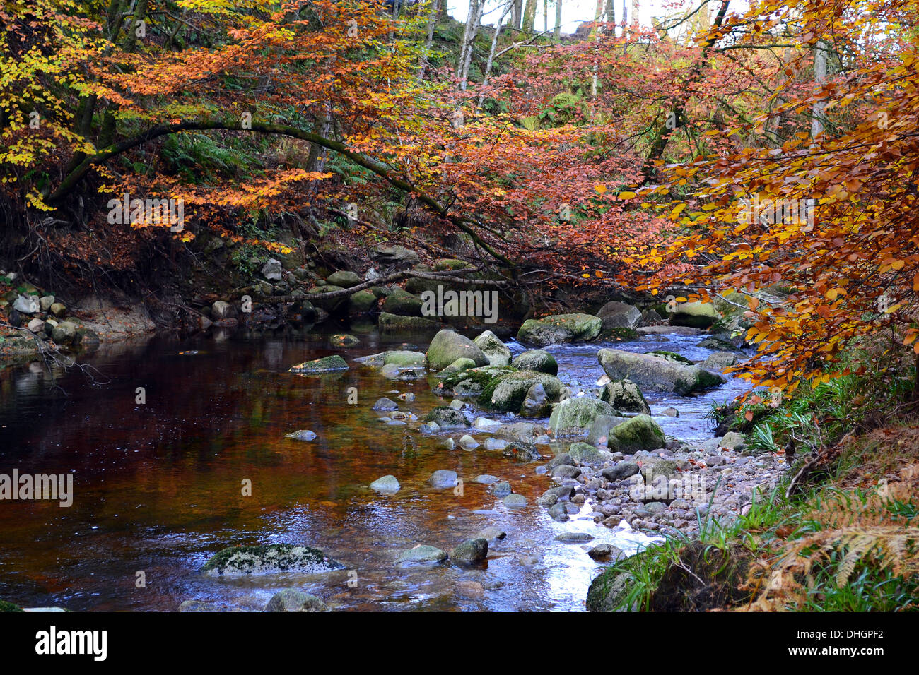 Herbstfarben Stockfoto
