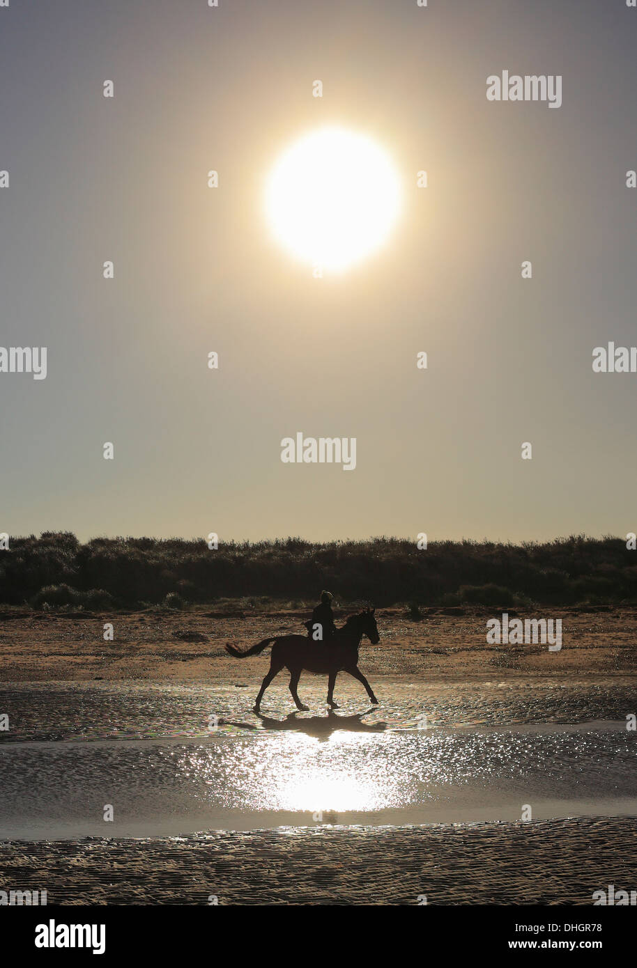 Pferd und Reiter am Strand unter einem großen Wintersonne. Stockfoto