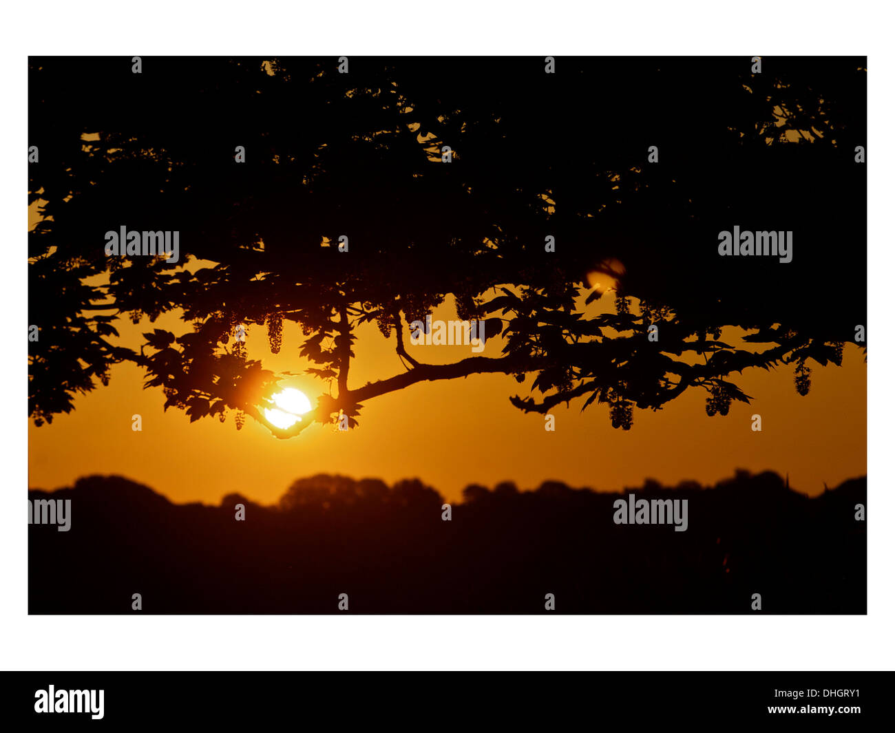 Schöne orange Sunrise mit umliegenden Bäume Silhouette sieht aus wie seine wiegt der Sonne Stockfoto