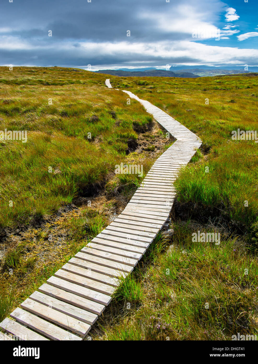 Schmaler Holzpfad auf EINEM Hügel auf Handa Island in Schottland Stockfoto