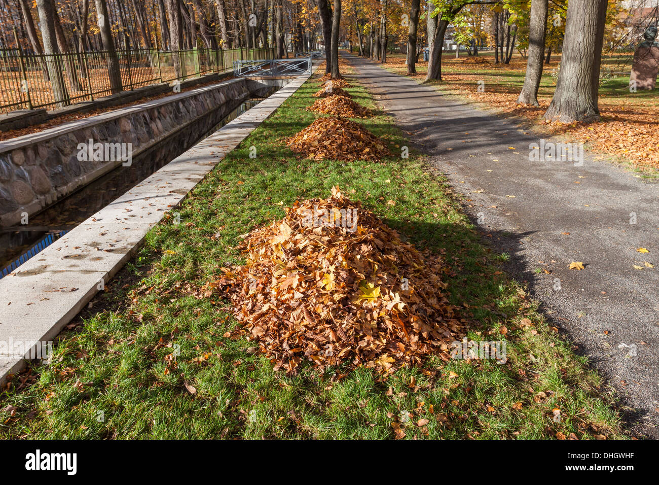 Herbst Park Gasse mit gelben Blatt Haufen Stockfoto