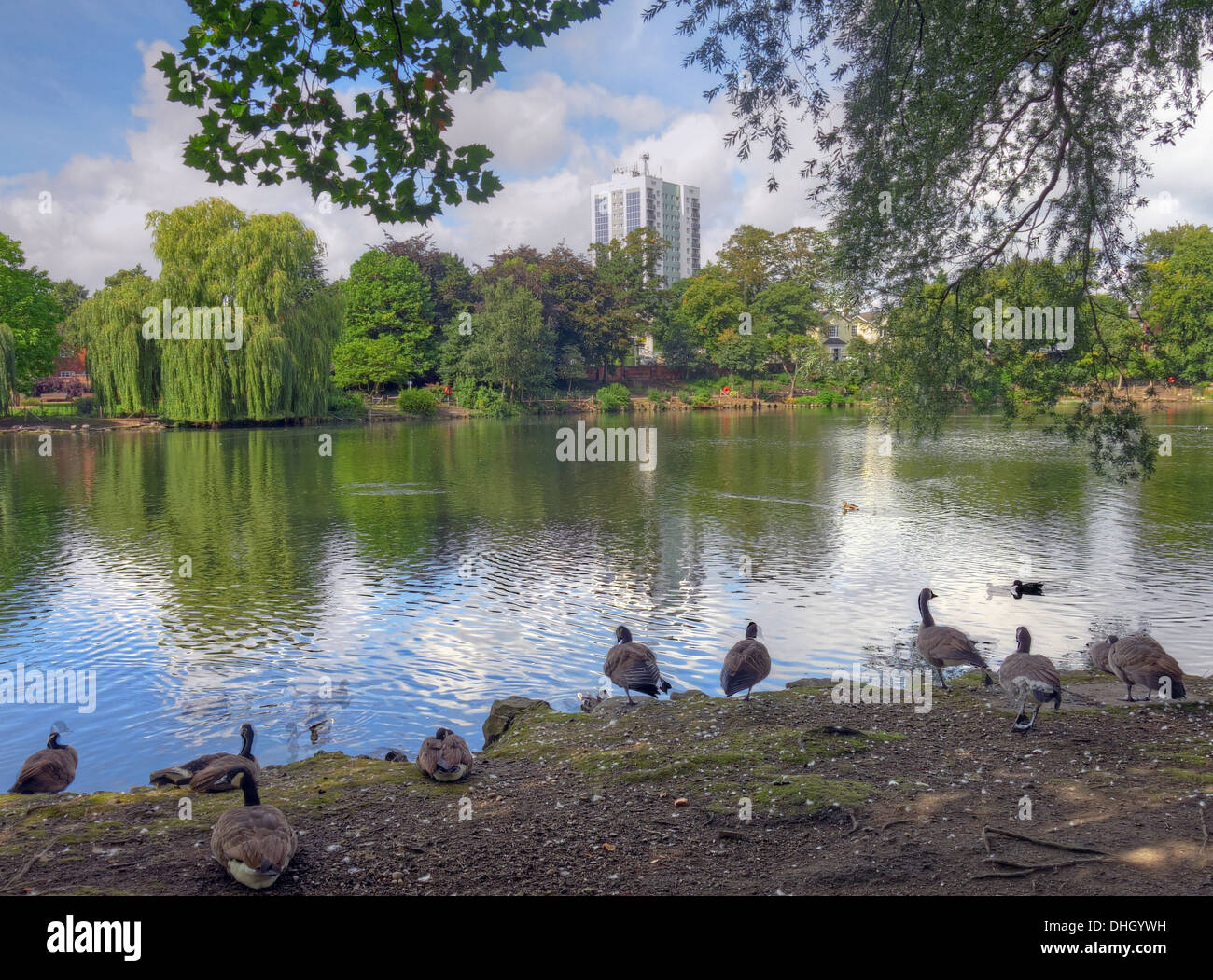 The Arbo, Walsall Town Arboretum Park Pond , West Midlands England , UK Stockfoto