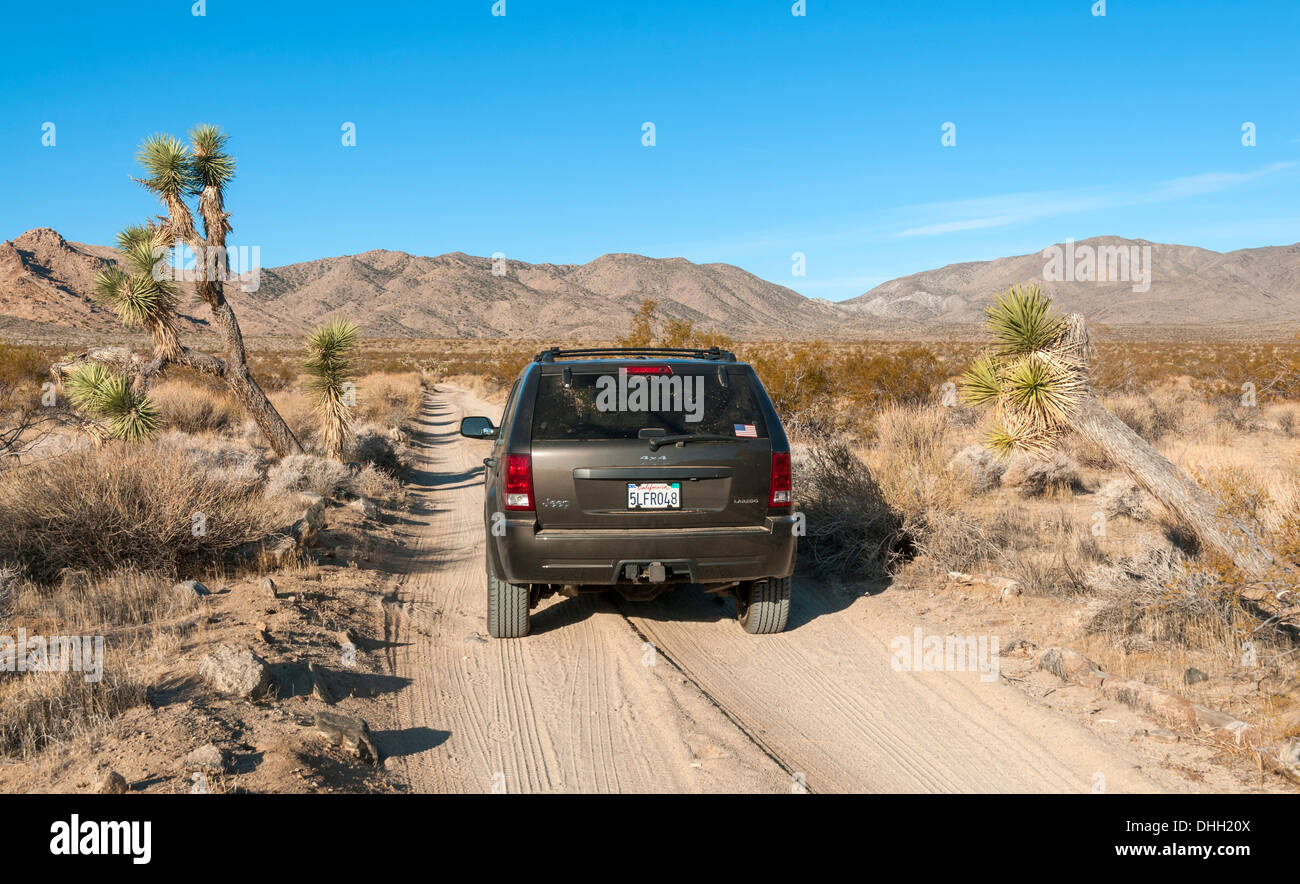 Kalifornien, Joshua Tree Nationalpark, Pleasant Valley, Jeep Tour unterwegs Geologie Stockfoto