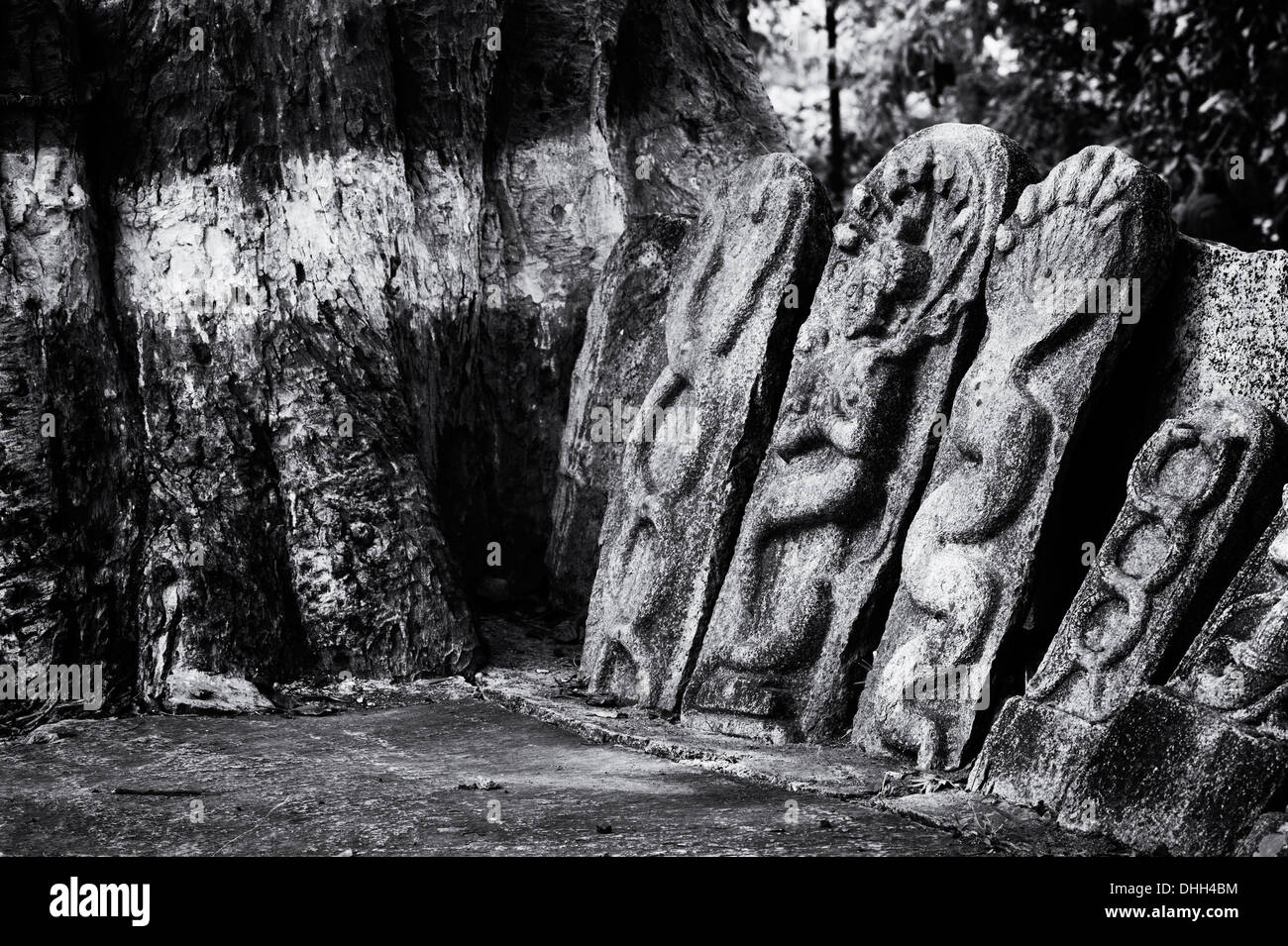 Hindu Altar Steinen abbildenden indische Vishnu Gottheit und Banyan-Baum in einem indischen Dorf. Andhra Pradesh, Indien. Stockfoto