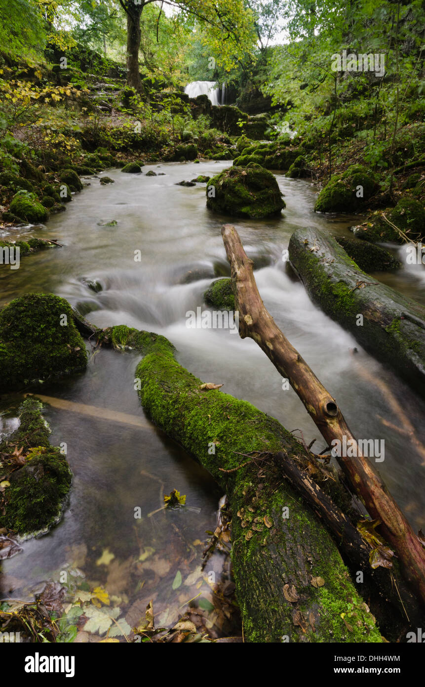 Janets Foss Wasserfall in den Yorkshire Dales Stockfoto