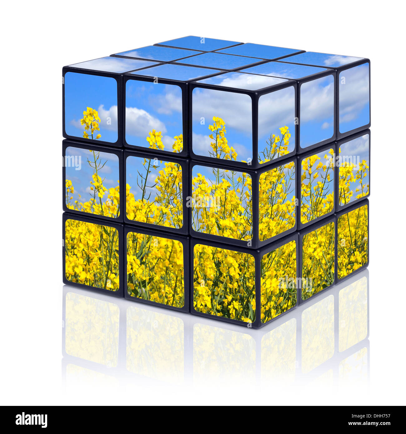 Ein Puzzle-Würfel mit einer Sommerszene allseitig isoliert auf weißem Hintergrund mit Reflexion. Stockfoto