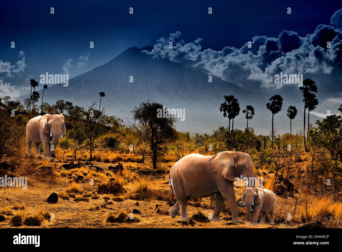 Elefanten auf Hintergrund der Berge Stockfoto