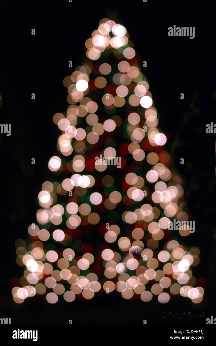 Weihnachtsbaum aus dem Fokus Stockfoto