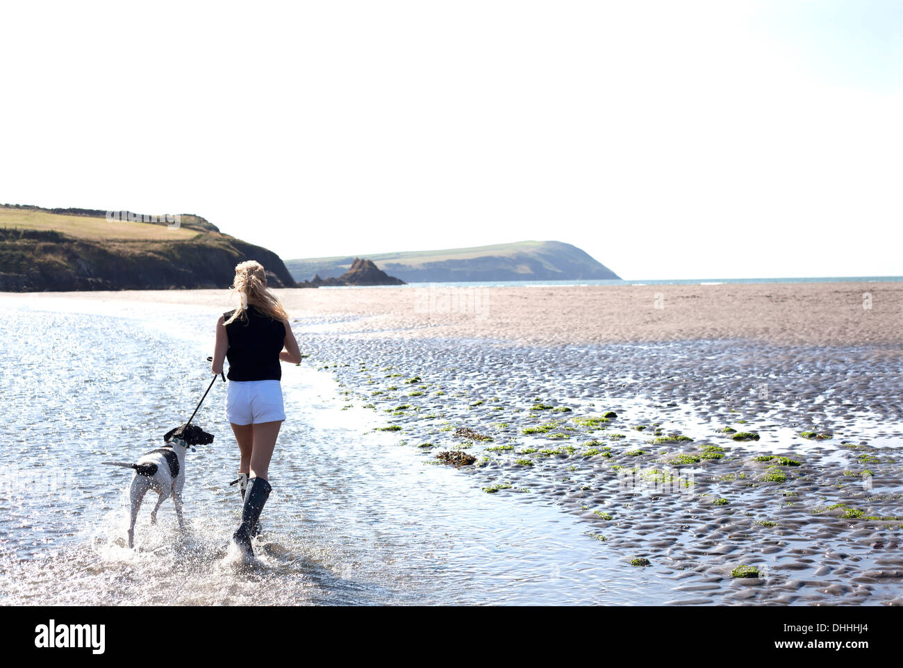 Frau zu Fuß Hund am Strand, Wales, UK Stockfoto