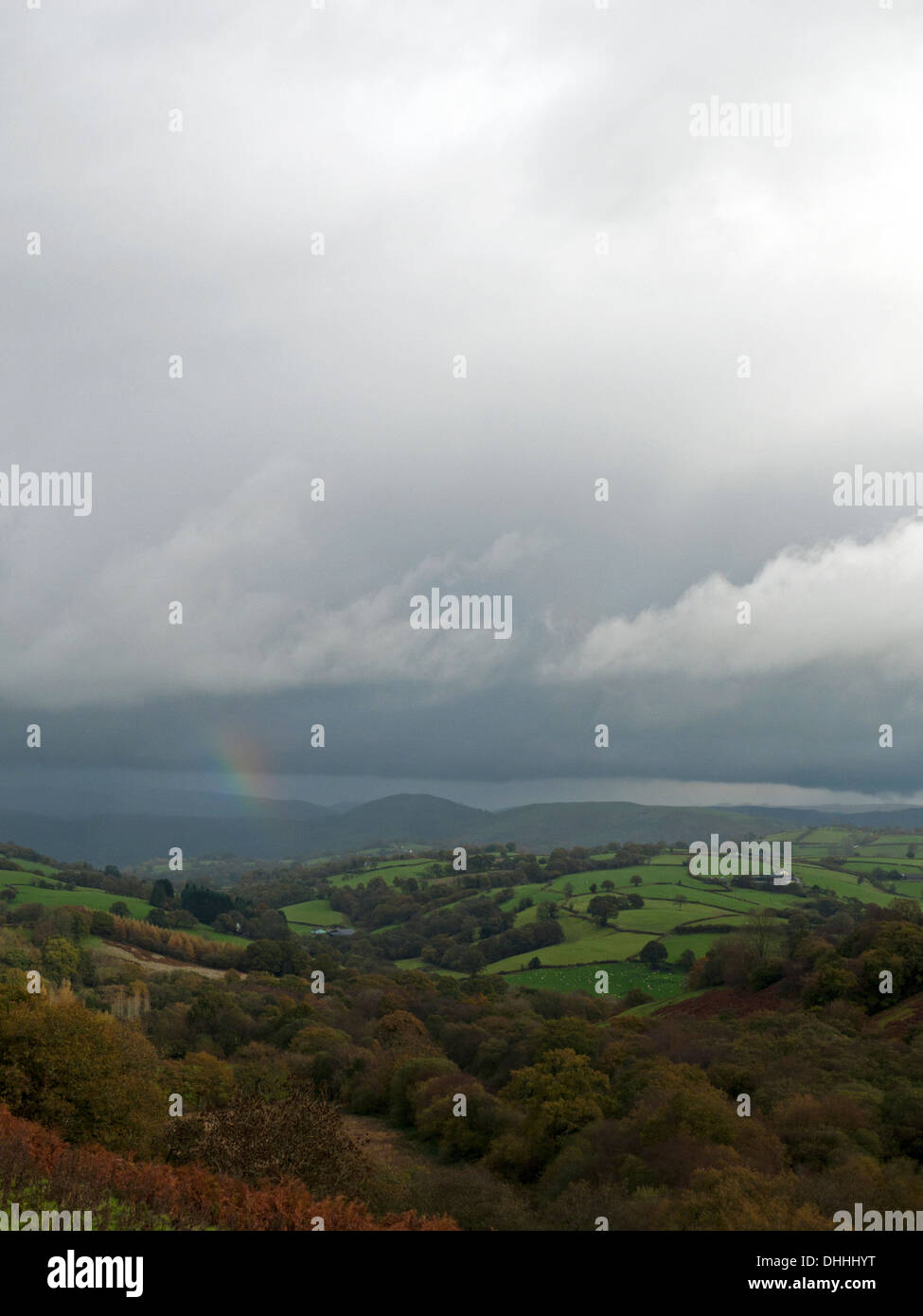 Herbstliche Landschaft an einem nasskalten bewölkten Tag in Carmarthenshire Wales UK KATHY DEWITT Stockfoto