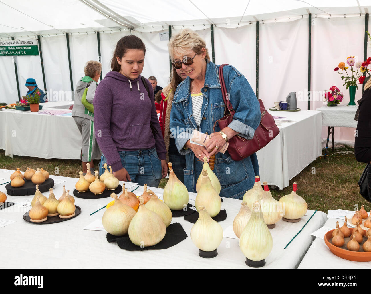 BESUCHER DIESER SEITE PREIS GEMÜSE AN LANDWIRTSCHAFTSAUSSTELLUNG IN MONMOUTH WALES UK Stockfoto