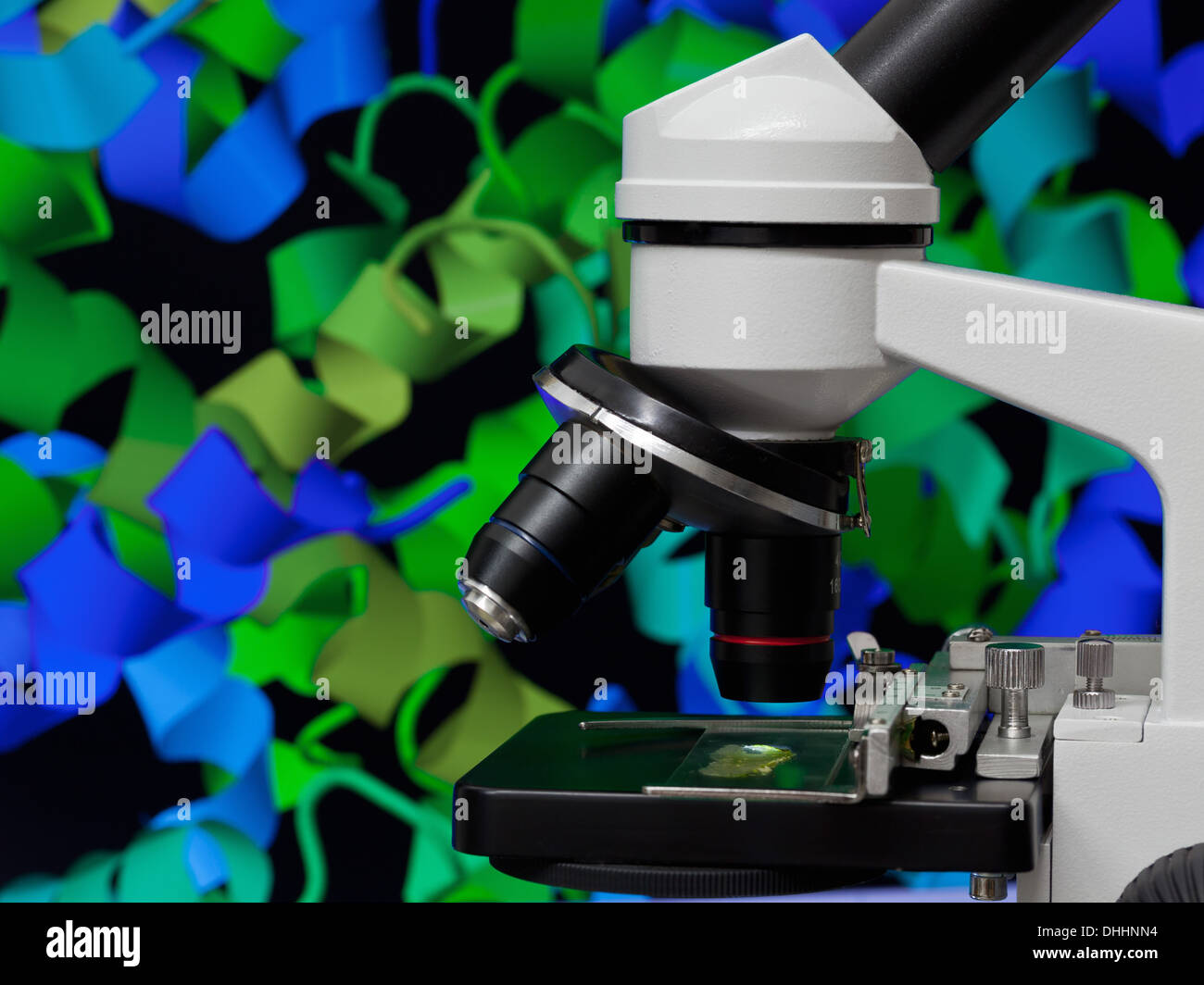 Mikroskop vor Hämoglobin-Molekül auf dem Computerbildschirm drehen Stockfoto