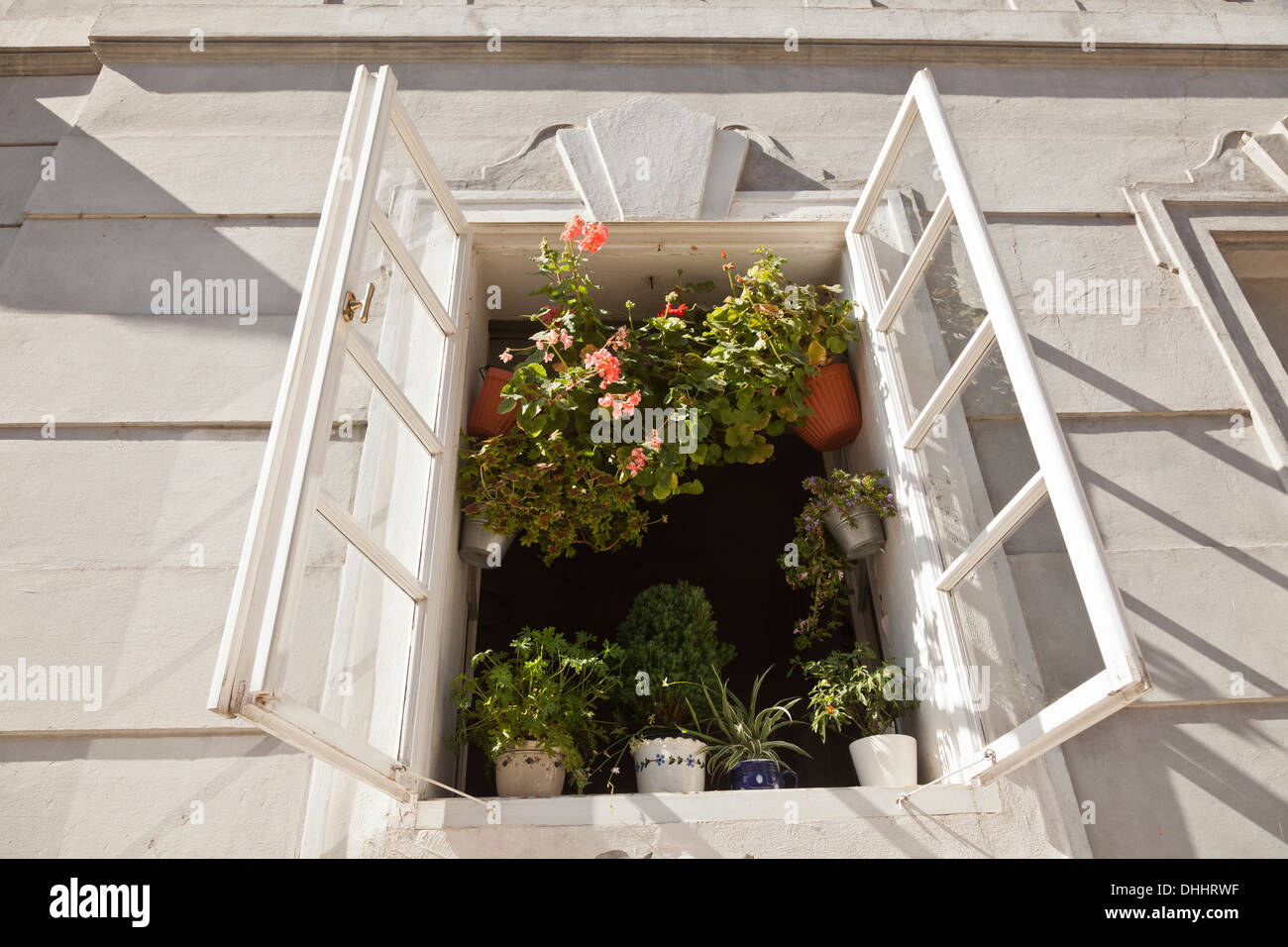 Fenster mit Topfpflanzen, Altstadt von Prag, Tschechische Republik Stockfoto