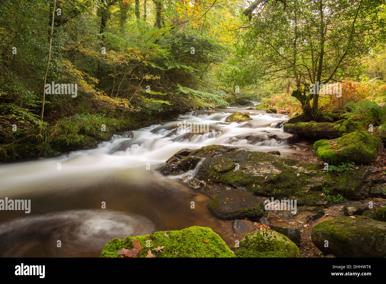 Herbst im East Okement Tal, Dartmoor Nationalpark Devon Uk Stockfoto