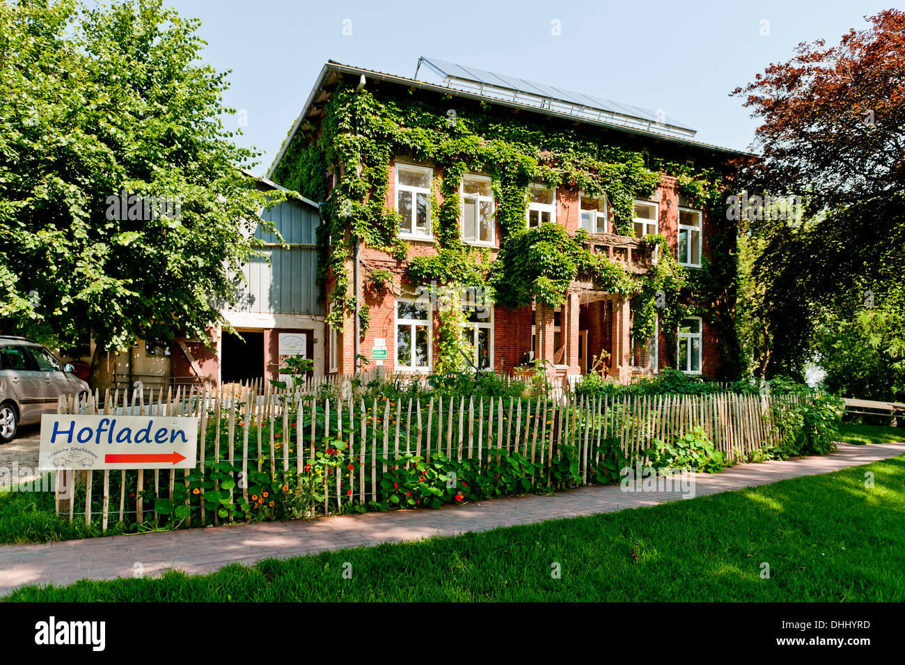 Schafskäse Molkerei Volquardsen, Tetenbuell, Northern Frisia, Schleswig Holstein, Deutschland Stockfoto