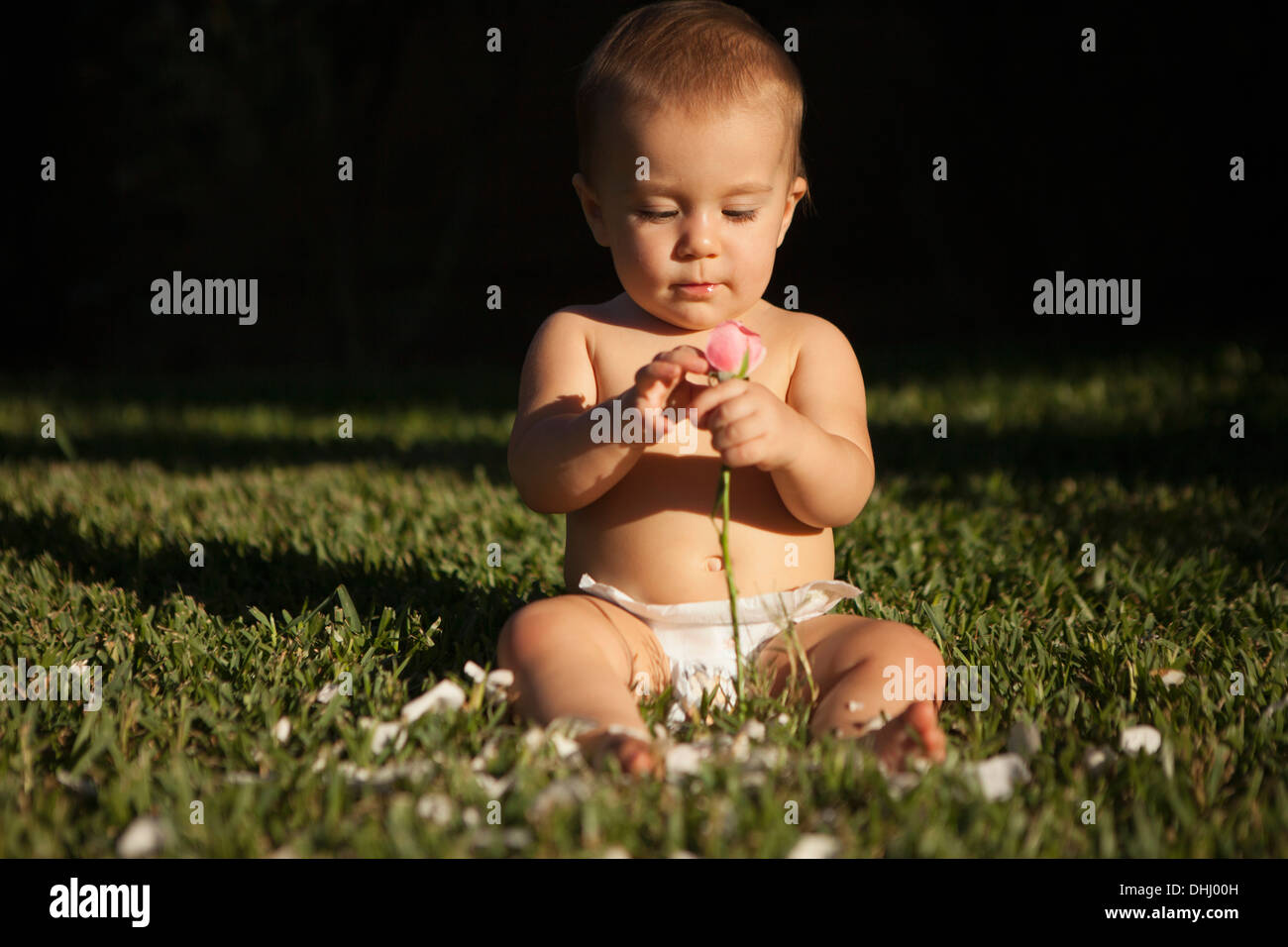 Babymädchen sitzen auf Grass Holding stieg Stockfoto