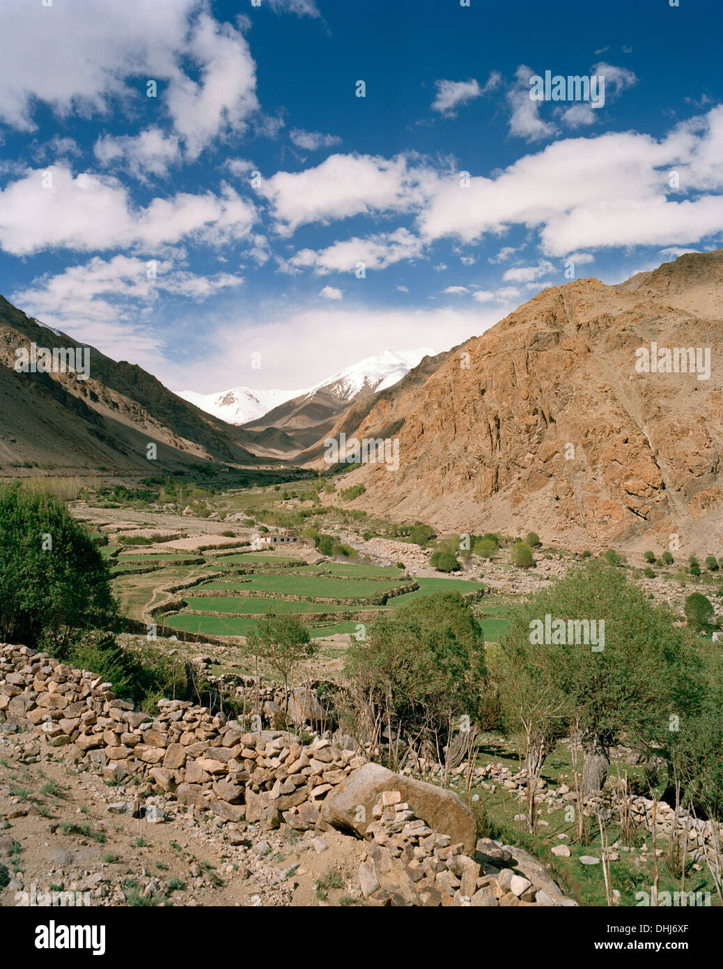 Terrasse-Felder und Bauernhof beherbergt über dem Kloster Thagchockling im Dorf Ney, westlich von Leh, Ladakh, Jammu und Kaschmir, Indien Stockfoto