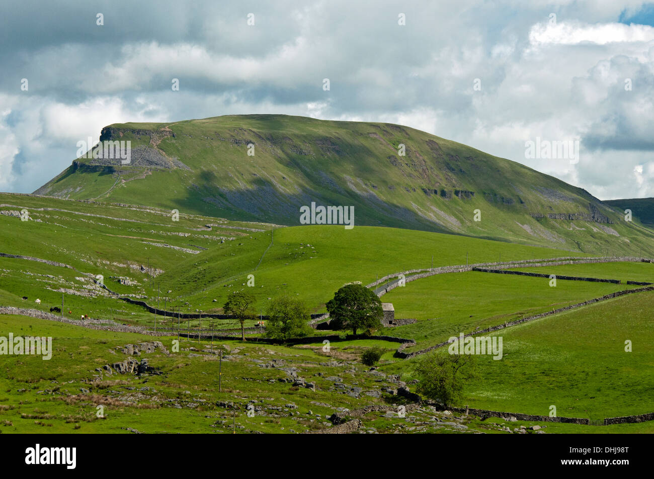 Pen y Gent und umliegende Felder in den Yorkshire Dales National Park im Norden von England Stockfoto