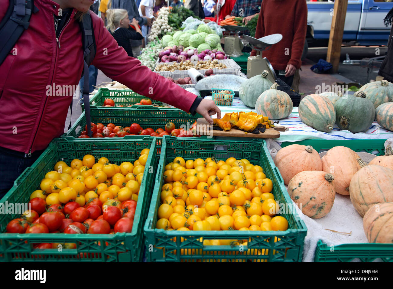 Kommissionierung eine Probe an Produkten stand, Farmers' Market Railyard District, Santa Fe, New Mexico, Vereinigte Staaten Stockfoto