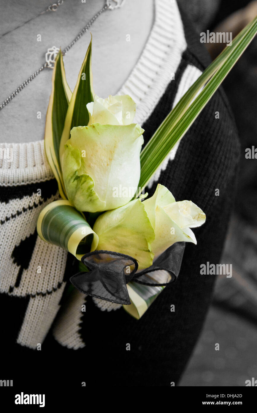 Eine Dame Taste Loch Gesteck aus weißen Rosen und ornamentale Belaubung hergestellt Stockfoto