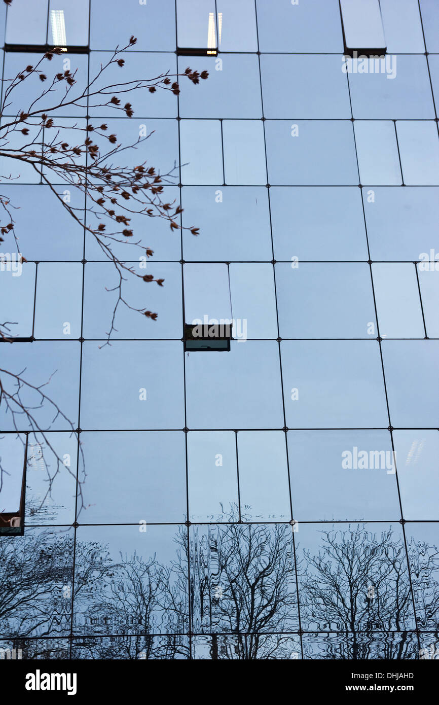 Bäume Reflexion im Bürogebäude windows Stockfoto