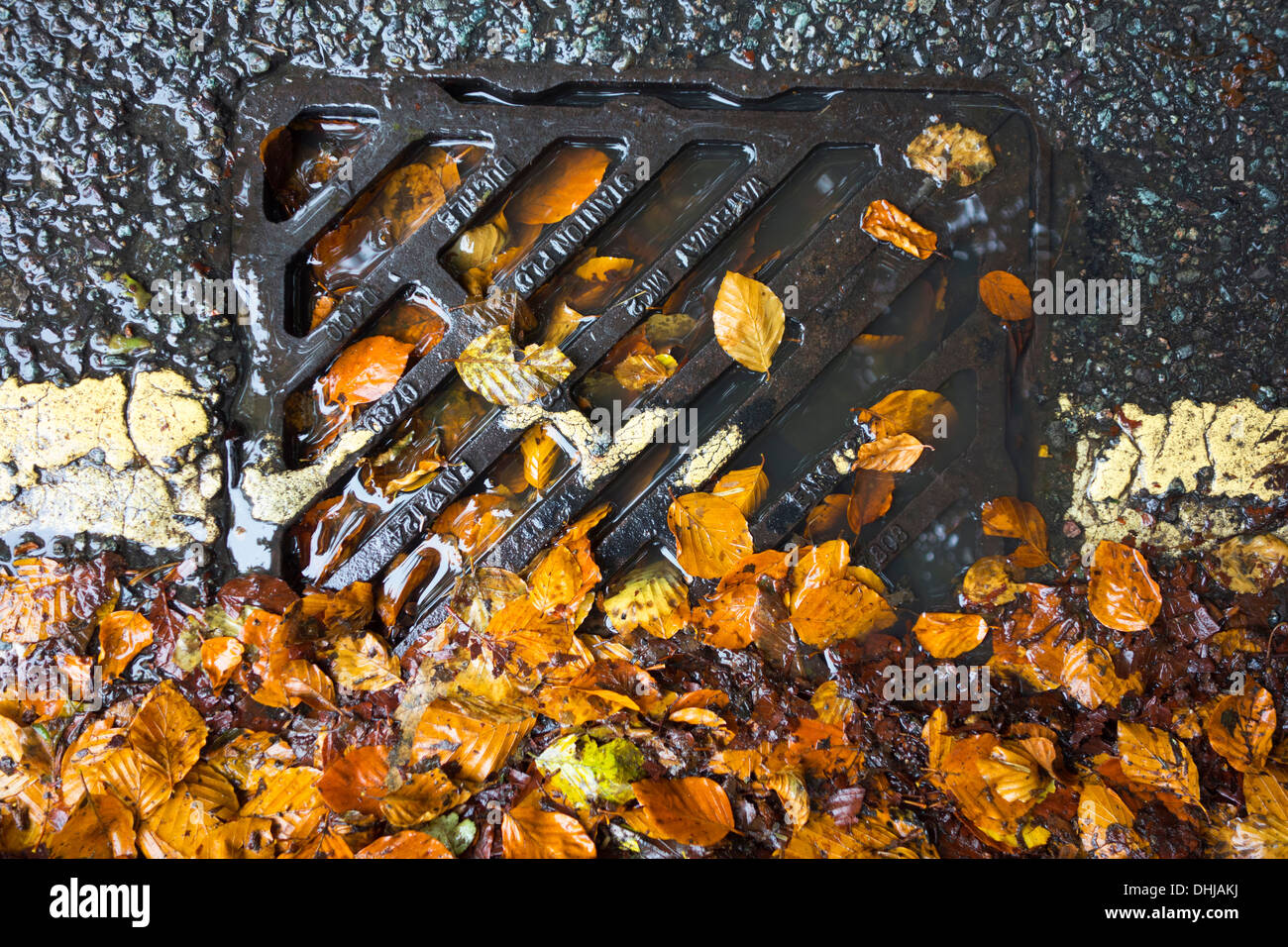 Ein Abfluss blockiert mit abgefallenen Blättern. Stockfoto