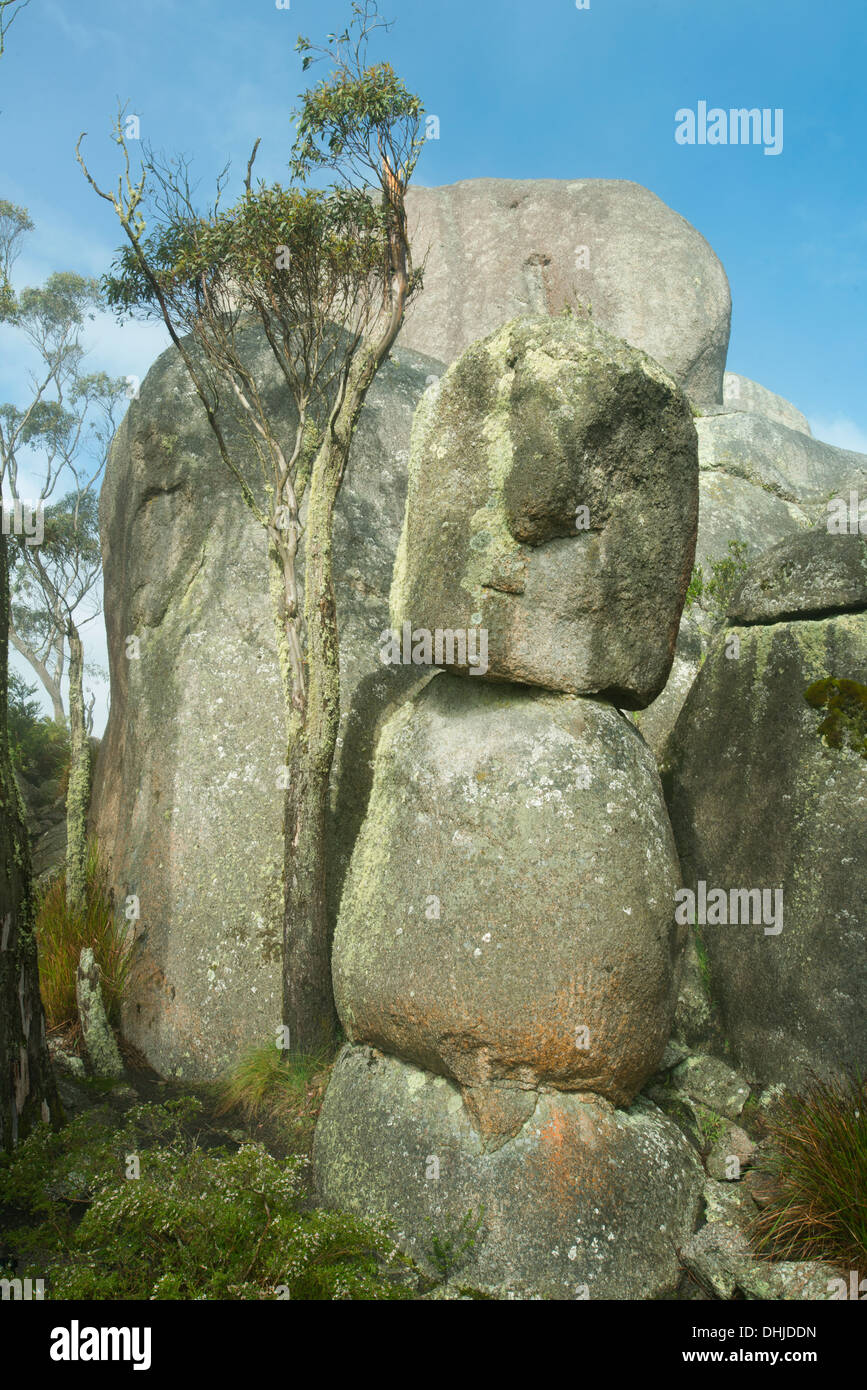 Granitfelsen in Menschengestalt, Porongorup Nationalpark, in der Nähe von Albany, Western Australia Stockfoto