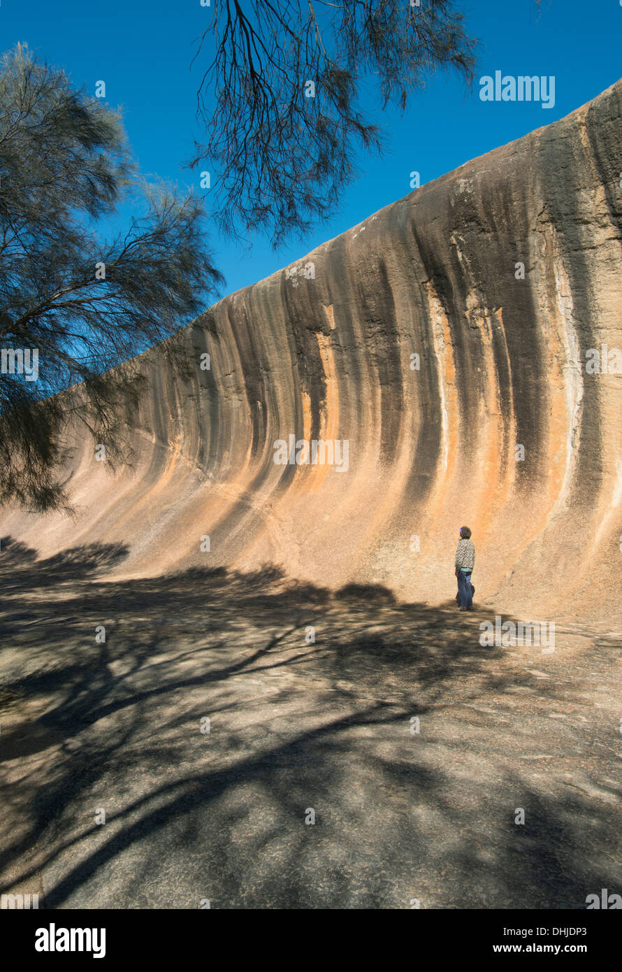 Wave Rock, geologische Attraktion, Hyden, Western Australia, mit Frau viewer Stockfoto