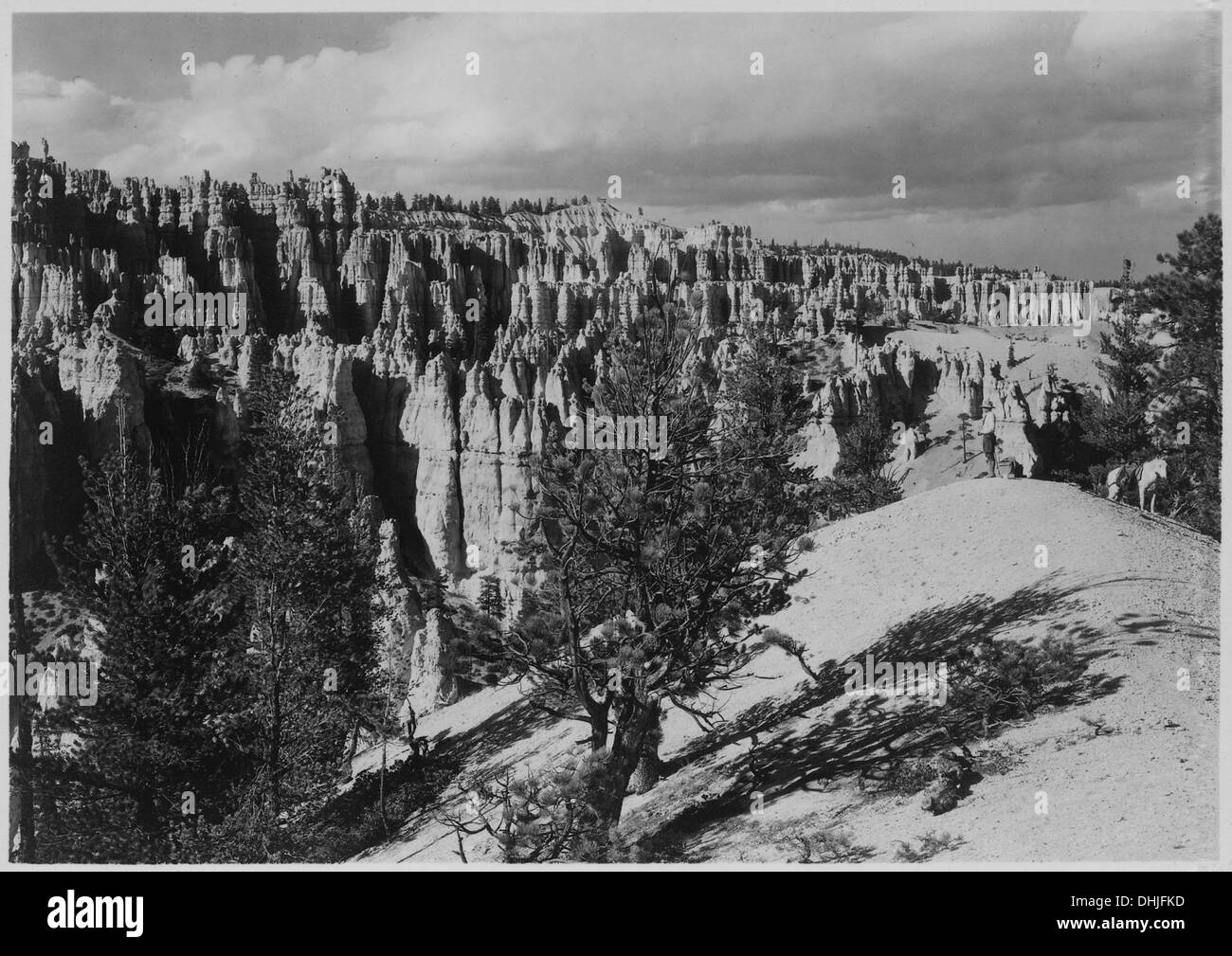 Eine malerische Aussicht vom Cathedral Ridge, mit Blick nach Norden in Richtung Sunrise und Sunset Points, die die natürliche Schönheit der Landschaft hervorheben. Stockfoto