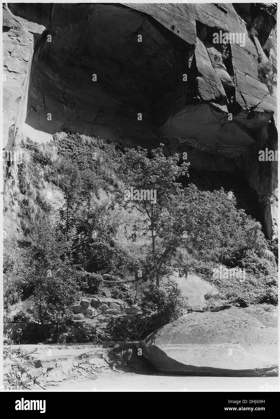 Eine Karte des Narrows Trail in Utah zeigt die Gegend, in der Felsen gefallen sind. Der Bogen verfügt über hängende Gärten und Farne, die die landschaftliche Schönheit der natürlichen Umgebung des Weges noch verstärken. Stockfoto
