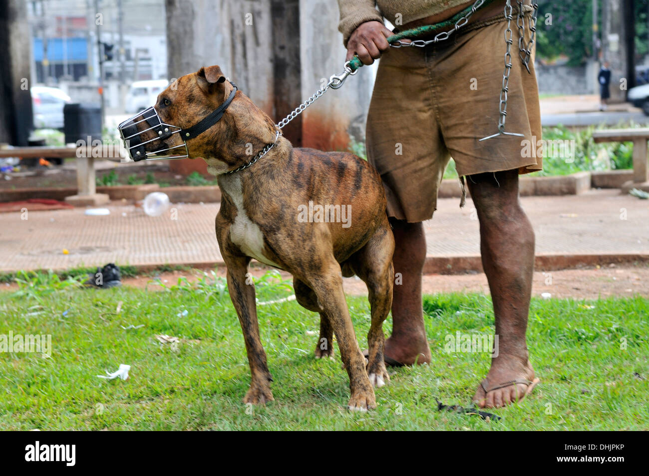 Brasilien, Sao Paulo, district Luz, Obdachlosen Mann mit Hund Stockfoto