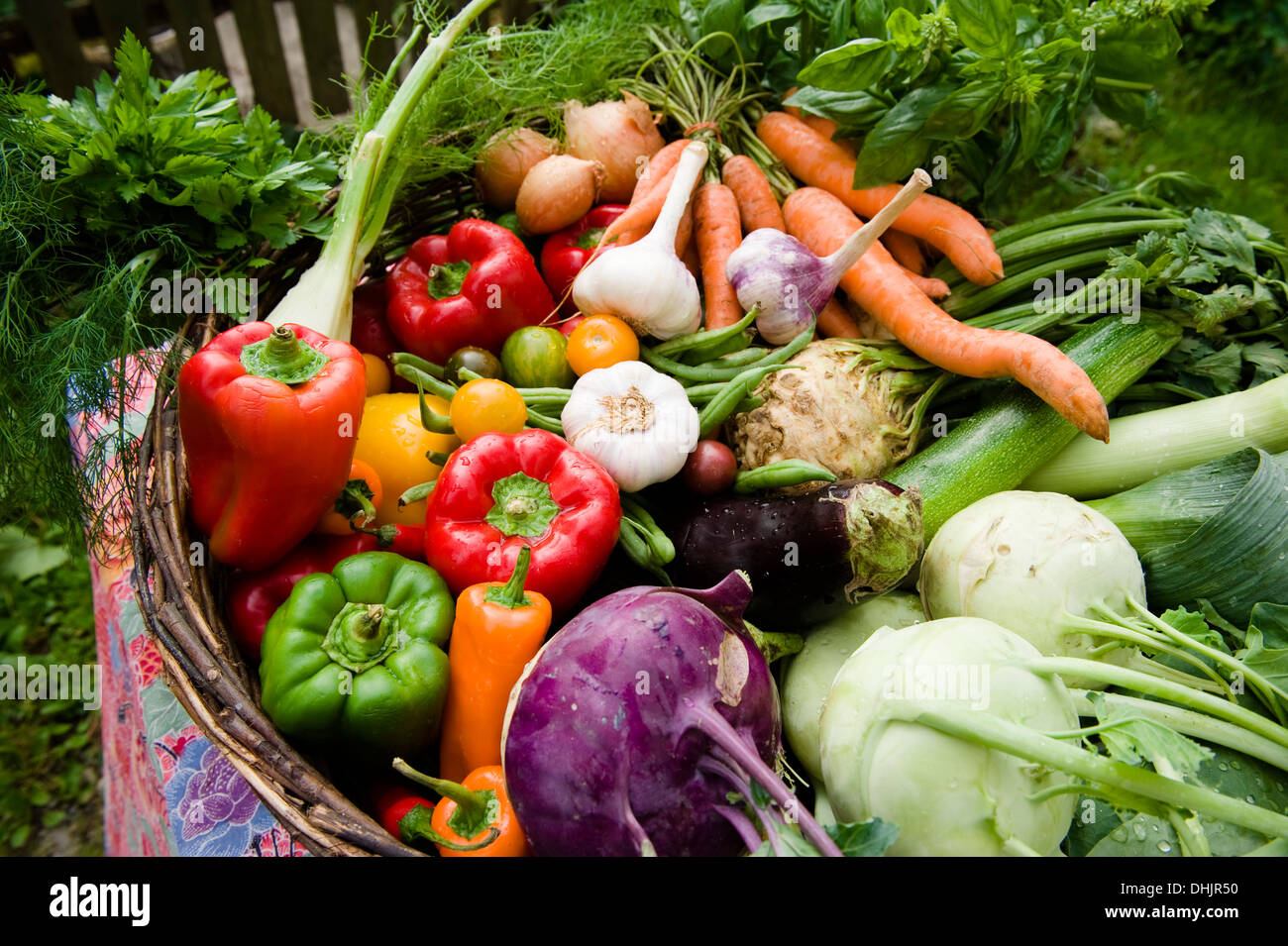 Frisches Gemüse in einem Korb, Ernte, Garten Stockfoto